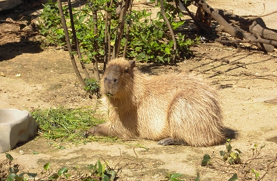 日々颱風blog 旅日記